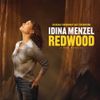 Broadway Cast - Redwood (Original Broadway Cast Recording)