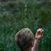 seiji oda - HUMAN + NATURE