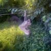 fairy type - i give up