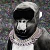 kylemilly! - LIFE 2
