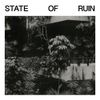 Silk Road Assassins - State of Ruin
