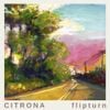 flipturn - Citrona