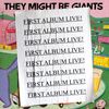 They Might Be Giants - First Album Live