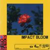 Hello Meteor - Impact Bloom