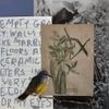 Amorebeautifulversionofyou - strange bird