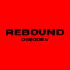D500dev - Rebound