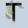 Труд - 6