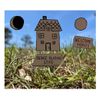 Dense Blazing Star - Welcome Home