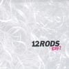 12 RODS - Gay?
