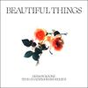 The Chainsmokers - Beautiful Things (The Chainsmokers Remix)