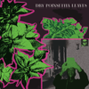 Dry Poinsettia Leaves - Dry Poinsettia Leaves