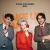 Paramore - Rose-Colored Boy