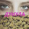 вертуля газманова - дунула