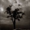 Alon Mor - &ldquo;Non-Fiction&rdquo;