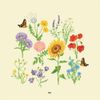gnash - we