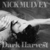 Nick Mulvey - Dark Harvest, Pt. 1
