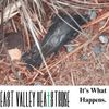 East Valley Heatstroke - It&rsquo;s What Happens