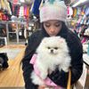 holottacheese - POMERANIAN