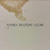 Will Collins - Stained Basement Ceiling