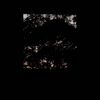 Soft Sighing Dusk I Never See You