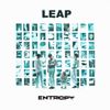 LEAP - Entropy