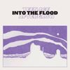 Teenage Afterglow - Into The Flood