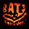 Dogs Forever - Bats Forever!