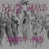 Salem Woods - DECEMBER ARRAY*