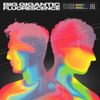 Big Gigantic - Fluorescence