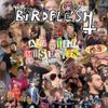 Birdflesh - All The Miseries