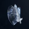 Mary Sue - Porcelain Shield, Paper Sword