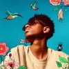 jsphth3rd - Hummingbirds