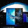 Shattered Stories - The Sounds of Vision and Failure
