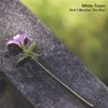 White Town - Don't Mention the War