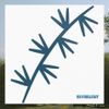 illusion hills - ex // sellout