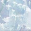 VIVIZ - A Montage of ( )