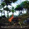 Apichatpong Weerasethakul - Metaphors: Selected Soundworks From The Cinema
