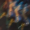Primary Evidence - Part of Me