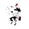Ry's - LUCHA LIBRE