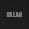 Blue Sabbath Black Cheer - Bleak