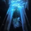18 DAYS - Believe In Light