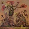 The Last Ten Seconds Of Life - Machina Non Grata