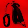 Without A Leash (feat. Baden Donegal)