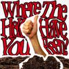 Tilly Louise - Where The Hell Have You Been?