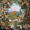 The Expert - Vivid Visions