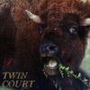 Twin Court - Sage Creek