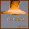 Scott Kuehn - First Flight