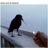 The Chainsmokers - White Wine & Adderall