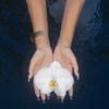 no na - orchids (lullabies)