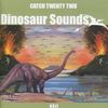 Catch 22 - Dinosaur Sounds